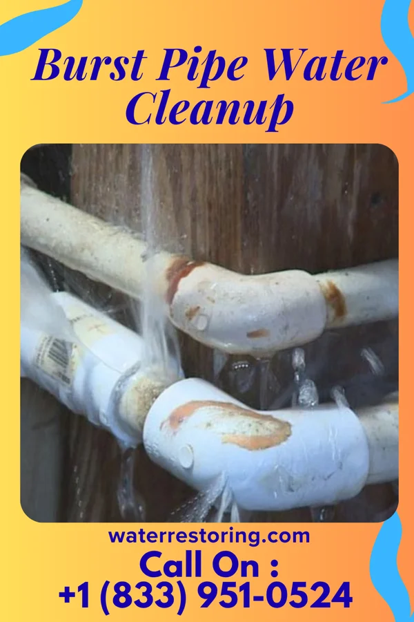 Burst Pipe Water Cleanup in Leaf River, IL