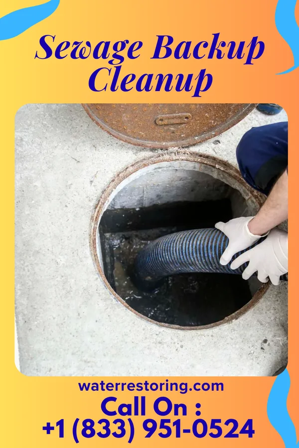 Sewage Backup Cleanup in Leaf River, IL